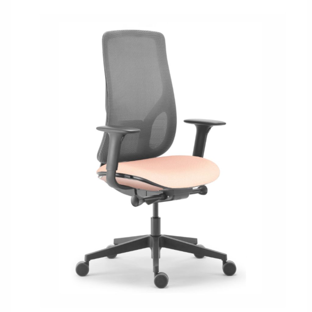 Fauteuil eman avec renfort lombaire translation d'assise et accoudoirs 3d