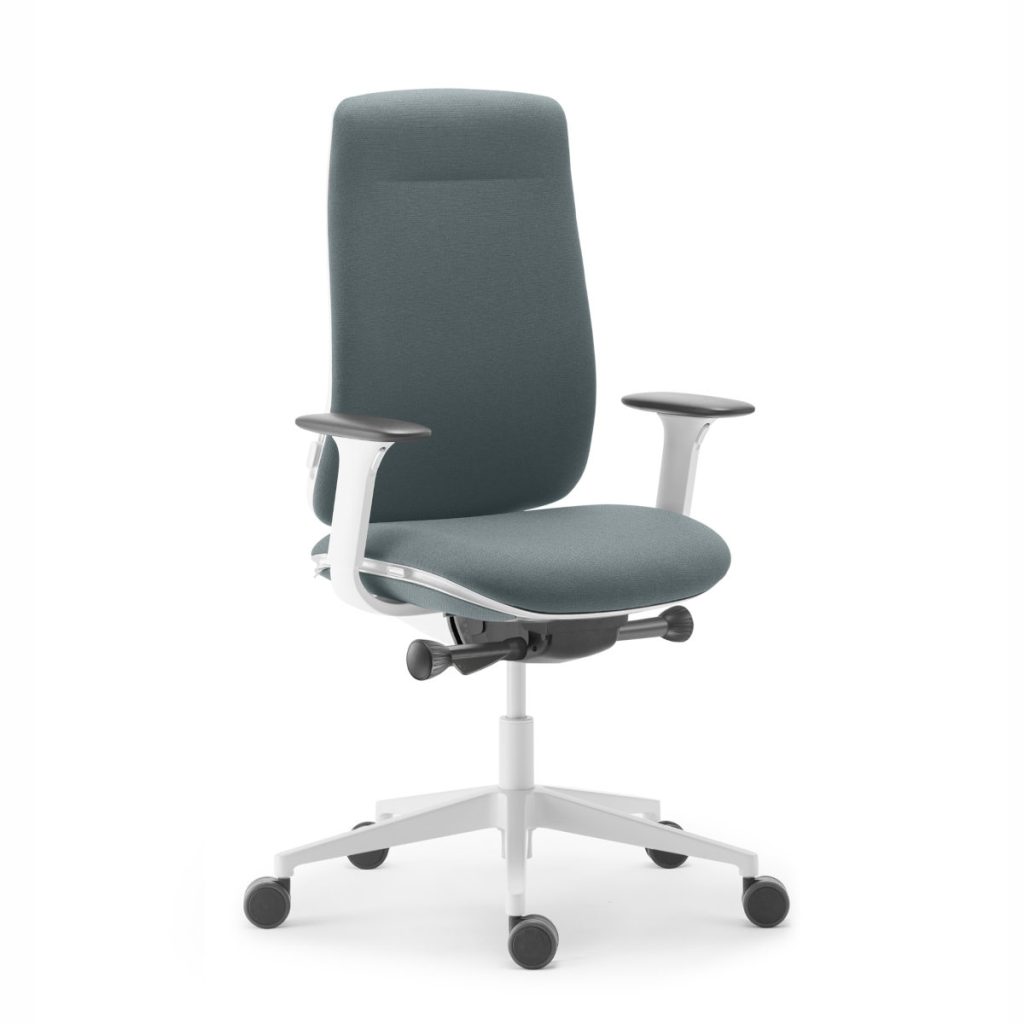 Fauteuil eman avec renfort lombaire translation d'assise et accoudoirs 3d